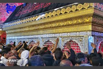 حرم امیرالمؤمنین(ع) در آستانه اربعین حسینی 5