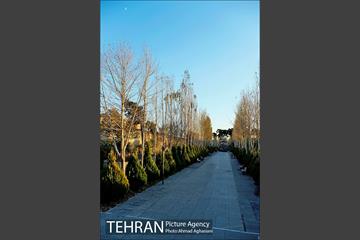 باغ موزه قصر تهران 9