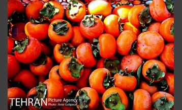 گذری در کوچه پس کوچه های محله کن‎ 22