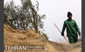 آیین کاشت درخت دانش در بوستان جنگلی چیتگر 43