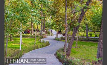 پاییز بوستان لاله 1