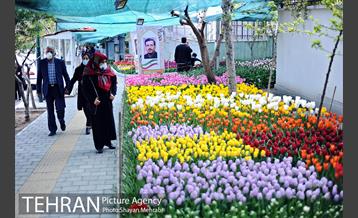 پیاده راه لاله مادران 46