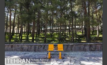 آیین افتتاح و بهره برداری از بوستان مرضیه حدیدچی دباغ  37