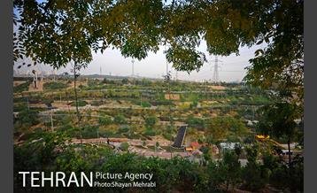 بوستان نهج البلاغه (فاز2) 5