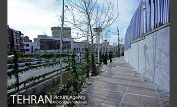 آیین کاشت 40 اصله درخت، به مناسبت چهلمین سالگرد انقلاب اسلامی باحضور شهردار تهران 4