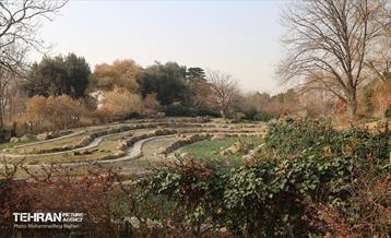 بازدید گروه های دوام مناطق از باغ گیاه شناسی ملی 14