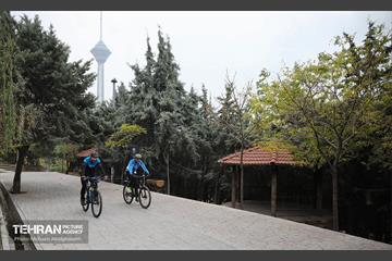 طبیعت پاییزی باغ راه فدک تهران 5