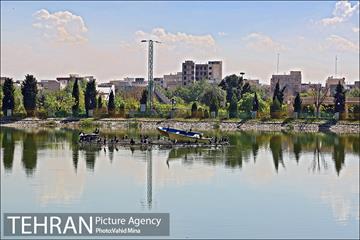 حضور پرندگان مهاجر در تهران 7