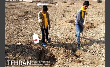 کاشت نهال در بوستان ولایت  28