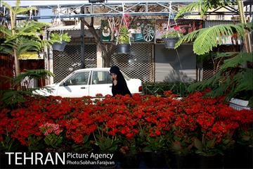 نمایشگاه گل و گیاه نوروزی در پیاده راه ۱۷ شهریور