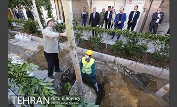 مراسم کاشت درخت در خیابان ولیعصر  10