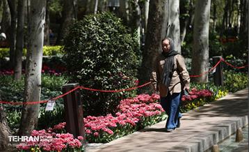 باغ ایرانی میزبان لاله‌ها 37