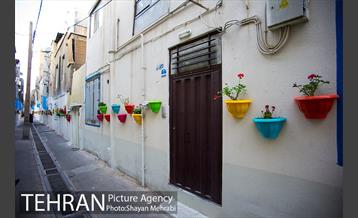 کوچه امیدی رنگ نوروز گرفت 26