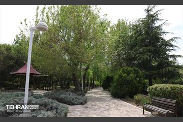 بوستان بانوان نرگس 12