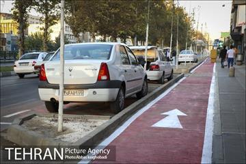 پارک خودرو‌ بین درختان چنار 15