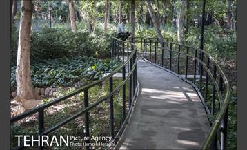 بوستان باغ ایرانی 28