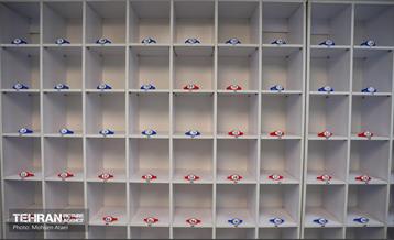 آیین افتتاحیه مجموعه ورزشی شهدای تاکسیران 2