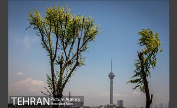 پل معلق بوستان نهج البلاغه 2