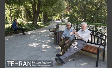 بوستان شفق‎ 1