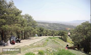 روز طبیعت در پارک جنگلی لویزان 29