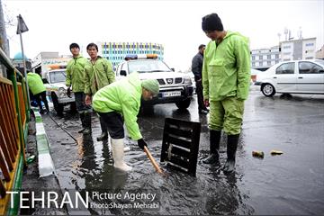 بارش باران بهاری در تهران 19