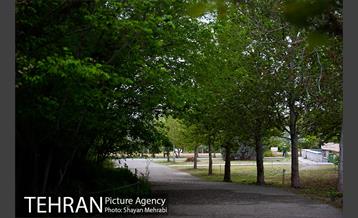 باغ گیاه‌شناسی ملی ایران 24