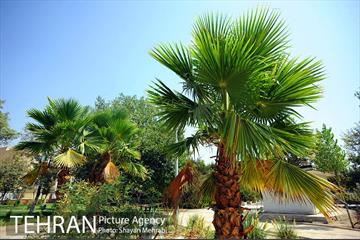 بوستان بسیج 33