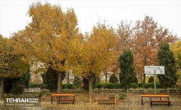 گذرگاه های پاییزی پایتخت - منطقه 5