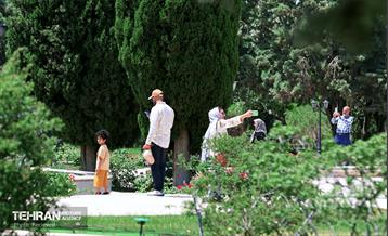 طبیعت بهاری در باغ ملی گیاهشناسی ایران 31