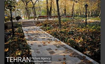 پاییز باغ ایرانی 36