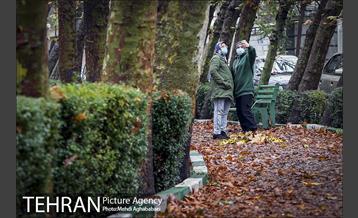 سمفونی برگ های پاییزی 22