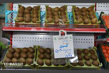 تره‌بار یلدایی 14