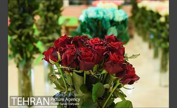 شانزدهمین نمایشگاه گل و گیاه تهران 4