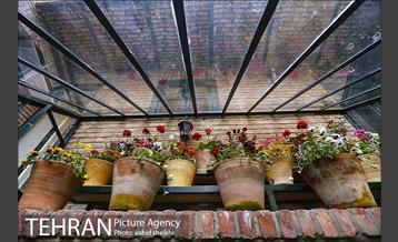 خانه موزه سیمین و جلال 4