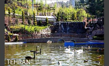 فصل بهار در بوستان های منطقه 4 3