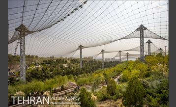 باغ پرندگان فاز دوم 1