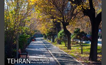 پاییز بلوار کشاورز 12
