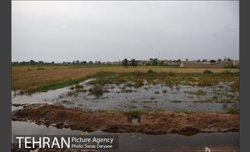 بازدید شهردار تهران ازمناطق سیل زده خوزستان 12