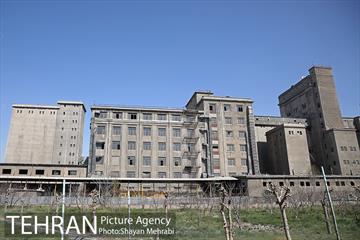 سیلوی گندم تهران 3