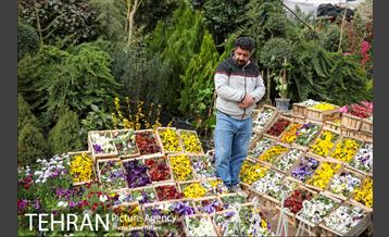 بازار گل و گیاه غرب تهران در آستانه نوروز 22