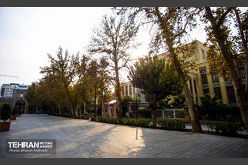 پاییز میدان مشق 8
