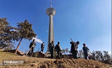 آیین کاشت گیاهان بومی پایتخت در برج میلاد 20