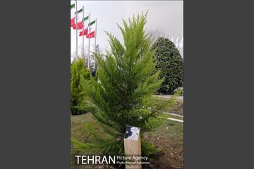 آیین درختکاری در بوستان گفتگو 16