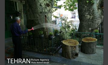 محله قدیمی ده سوهانک  21