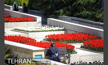 رویش گل های لاله در بوستان گفتگو 3