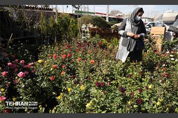 بازار گل محلاتی  47