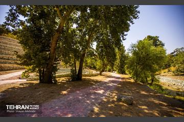 اینجا کارگاهه، فاز دو روددره فرحزاد 51