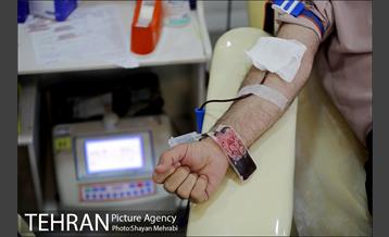 پویش سه شنبه های بدون خودرو 32