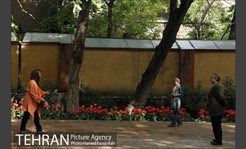 لاله های بهاری بوستان مختاری 7