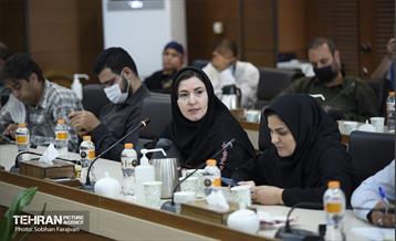 نشست خبری مدیرعامل سازمان زیباسازی شهرداری تهران 17